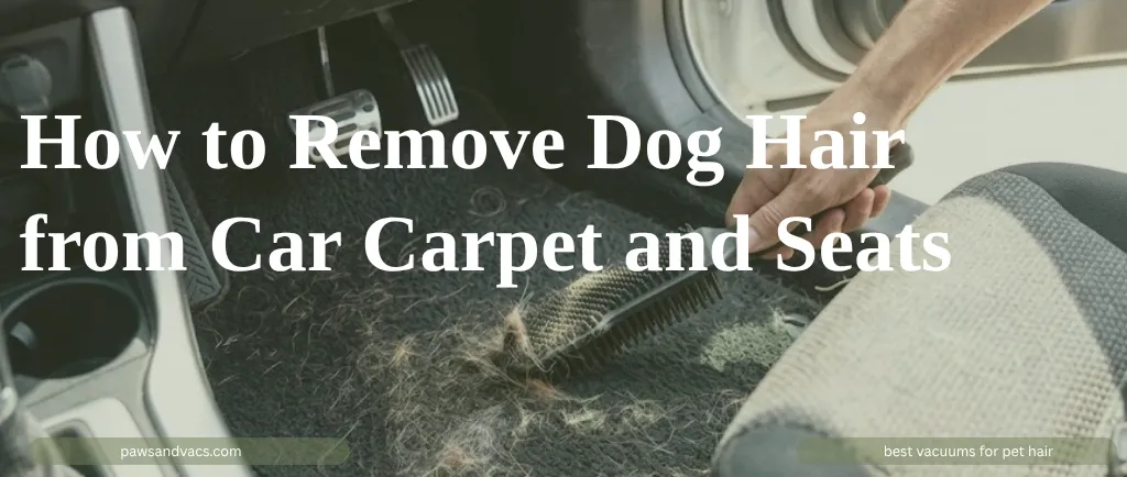 How to Remove Dog Hair from Car Carpet and Seats guide for pet homes