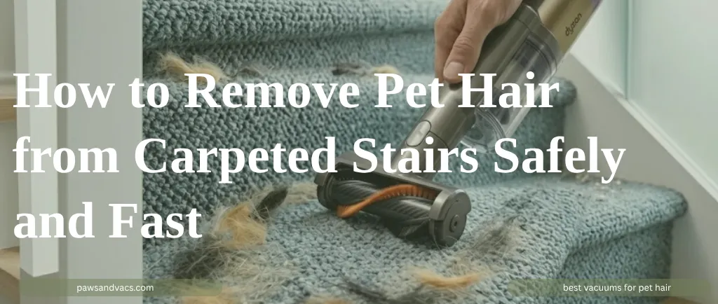 How to Remove Pet Hair from Carpeted Stairs Safely and Fast guide for pet homes