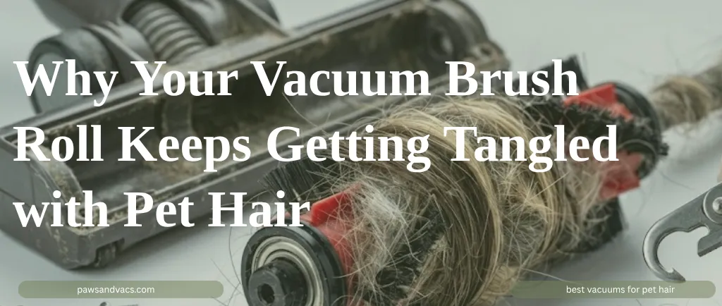 Why Your Vacuum Brush Roll Keeps Getting Tangled with Pet Hair guide for pet homes