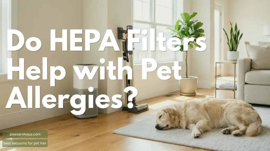 HEPA filter vacuum and air purifier for pet dander allergy control in a home with pets